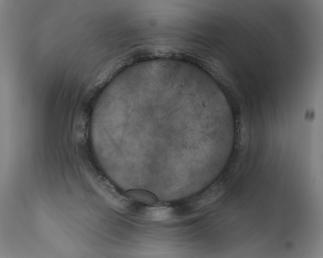X0000111010266200907101323