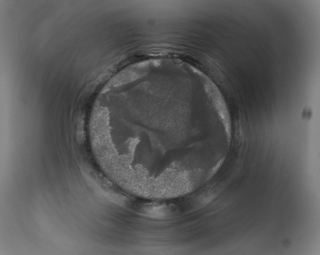 X0000111010267200907101323
