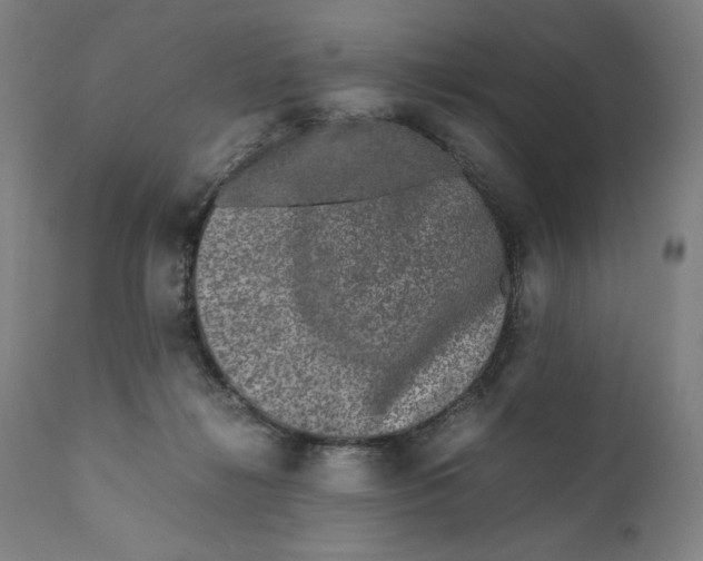 X0000111010268200907101323