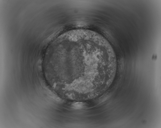 X0000111010269200907101323
