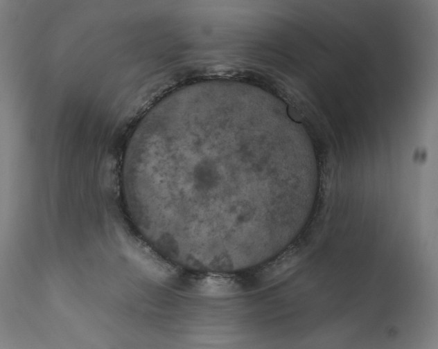 X0000111010270200907101323