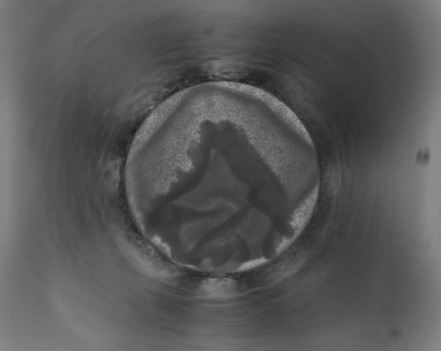 X0000111010271200907101323