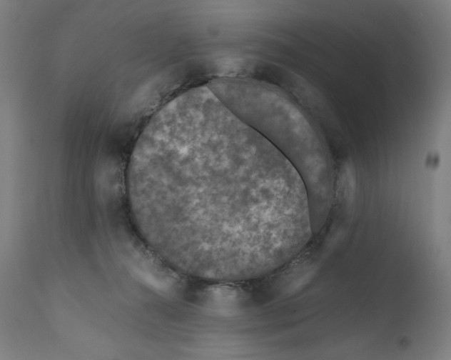 X0000111010272200907101323