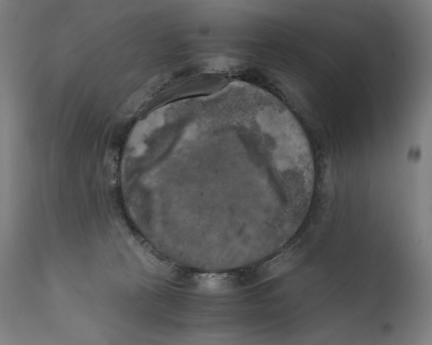 X0000111010273200907101323