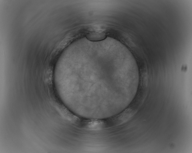 X0000111010274200907101323