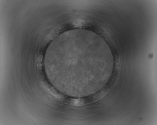 X0000111010275200907101323