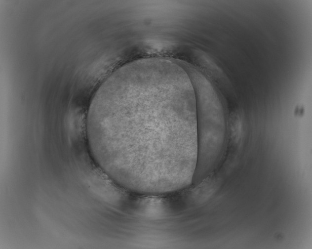 X0000111010276200907101323
