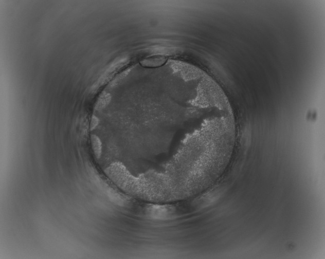 X0000111010277200907101323