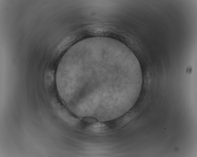 X0000111010278200907101323