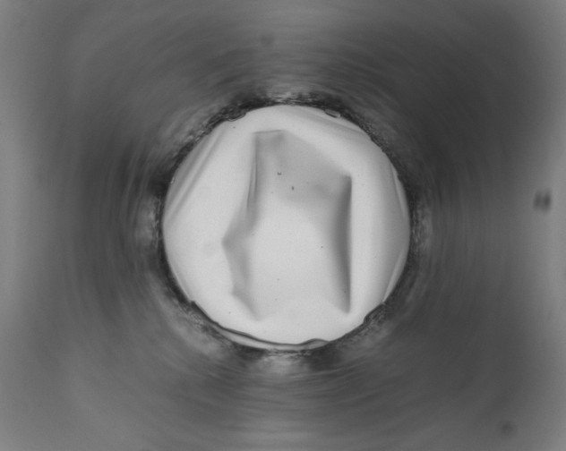 X0000111010280200907101323
