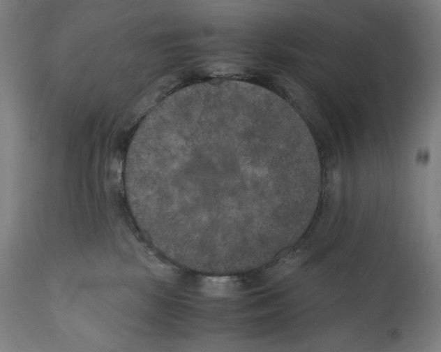 X0000111010281200907101323
