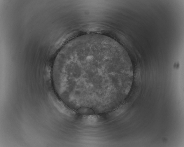 X0000111010282200907101323