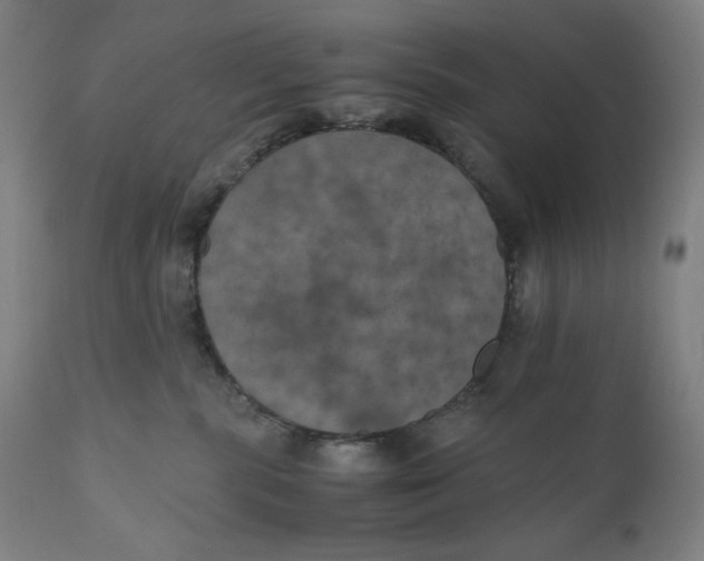 X0000111010283200907101323