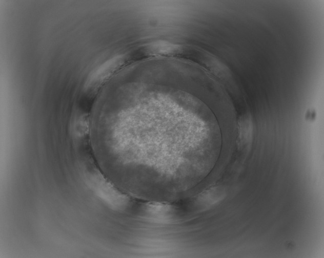 X0000111010284200907101323