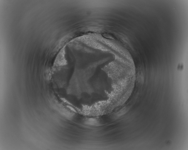 X0000111010285200907101323