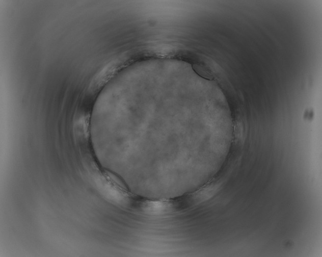X0000111010286200907101323