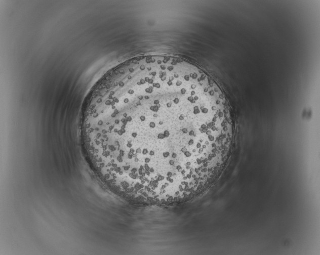 X0000111010290200907101323