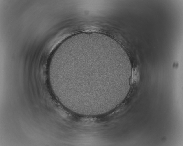 X0000111010291200907101323