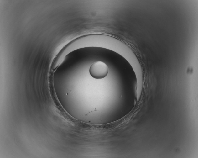 X0000111010292200907101323