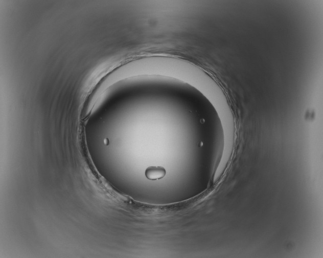 X0000111010293200907101323