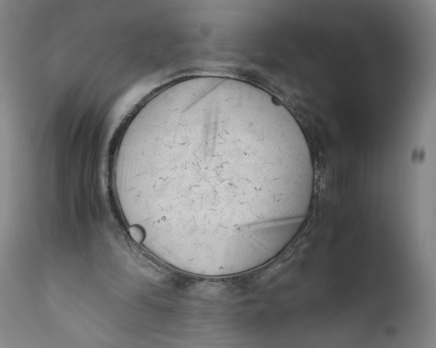 X0000111010294200907101323