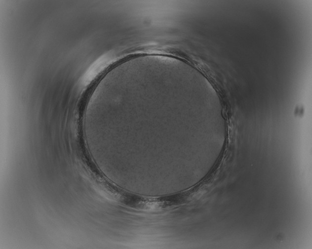 X0000111010295200907101323