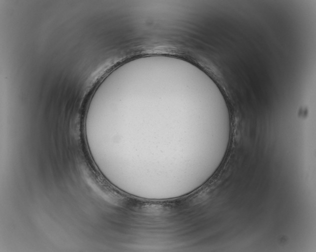 X0000111010298200907101322