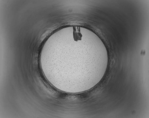 X0000111010299200907101322