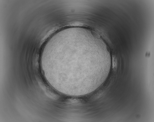 X0000111010300200907101322