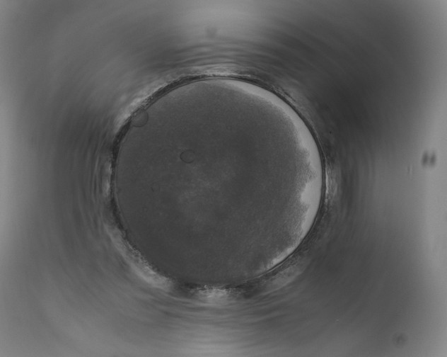 X0000111010301200907101322