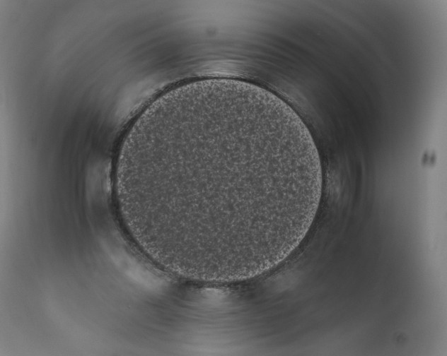 X0000111010302200907101322