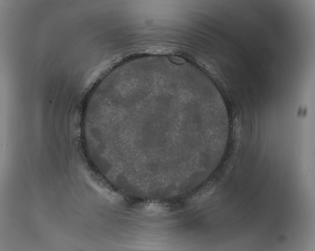 X0000111010303200907101322