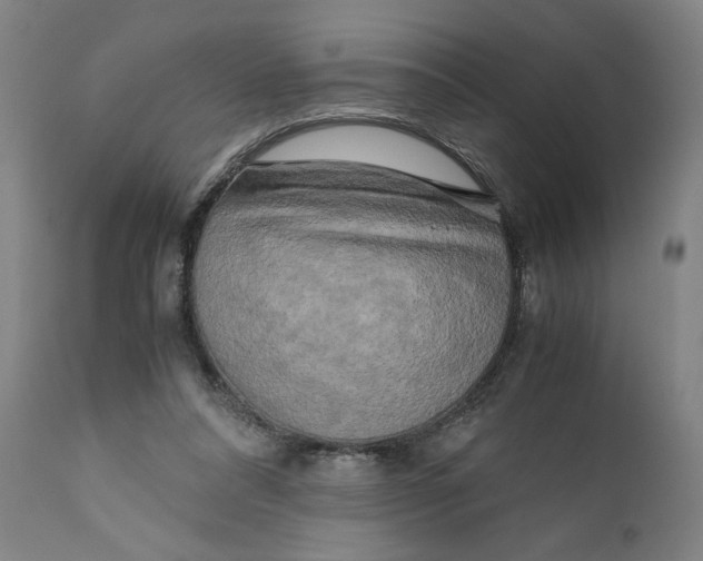 X0000111010304200907101322
