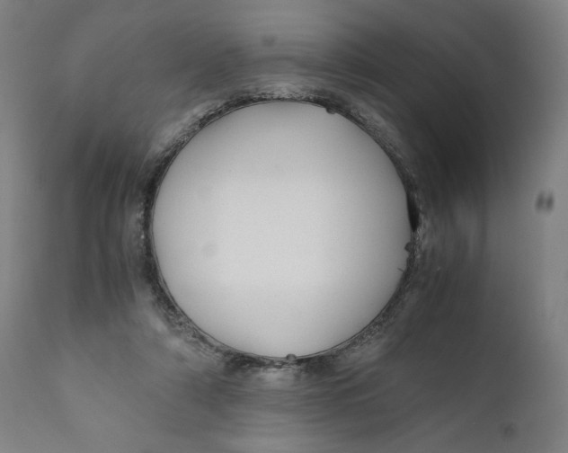 X0000111010306200907101322