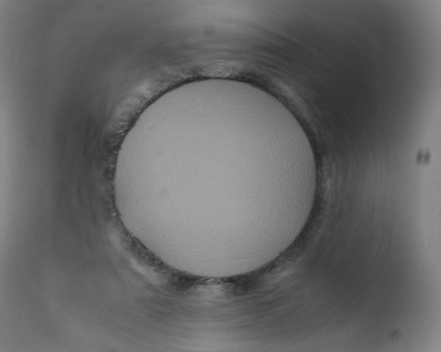X0000111010307200907101322