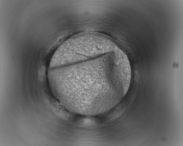 X0000111010308200907101322