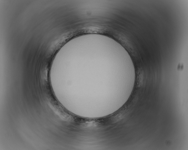 X0000111010310200907101322