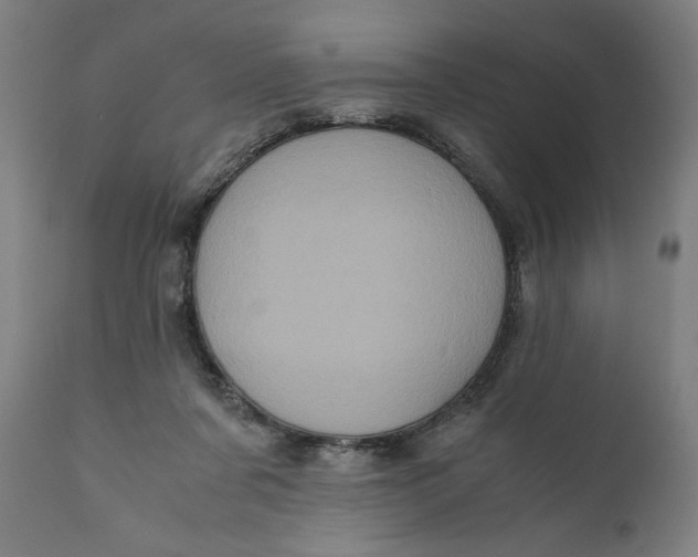 X0000111010311200907101322