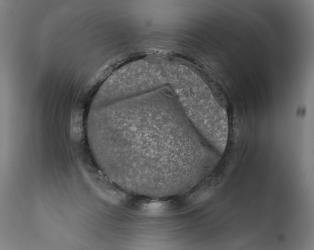 X0000111010312200907101322