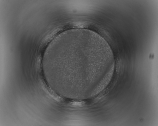 X0000111010314200907101322