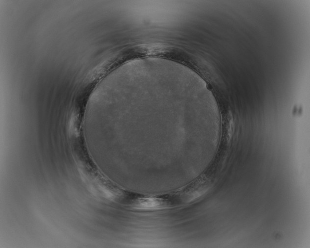X0000111010316200907101322