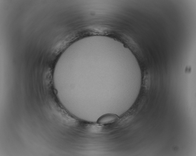 X0000111010318200907101322