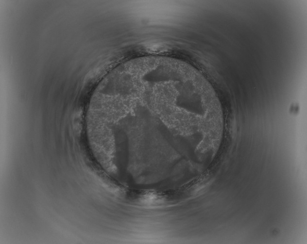 X0000111010319200907101322