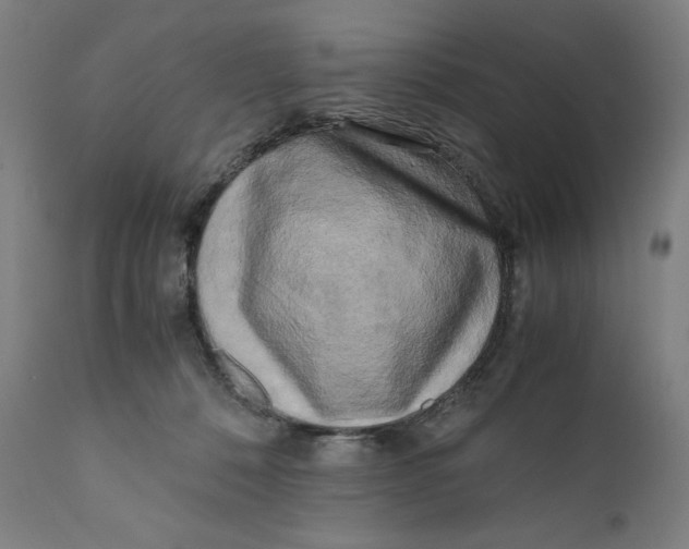X0000111010320200907101322
