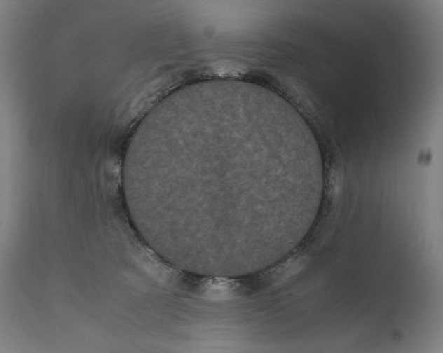 X0000111010321200907101322