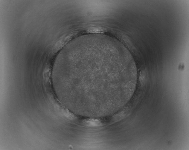 X0000111010322200907101322