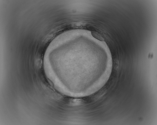 X0000111010324200907101322