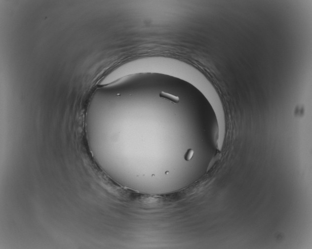 X0000111010325200907101322