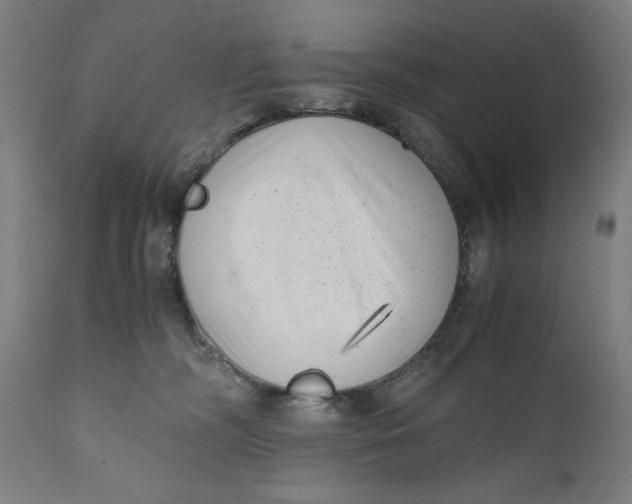 X0000111010326200907101322