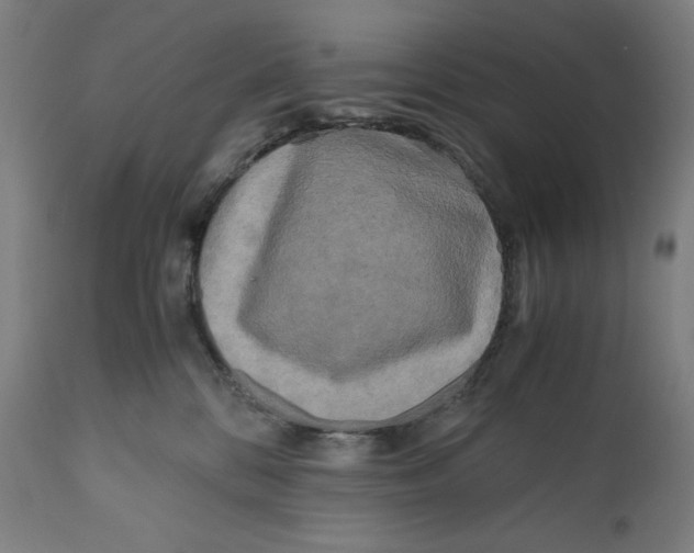 X0000111010328200907101322